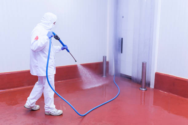 Best Paint Preparation  in West Hollywood, CA