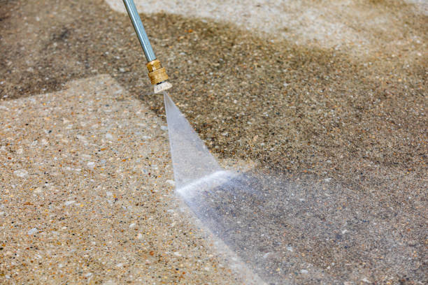 Best Roof Washing  in West Hollywood, CA