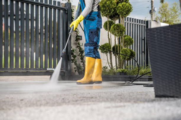 Best Driveway Pressure Washing  in West Hollywood, CA