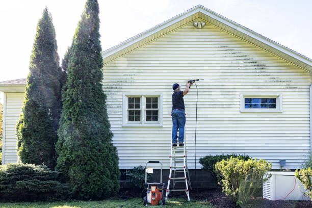Best Patio and Deck Pressure Washing  in West Hollywood, CA